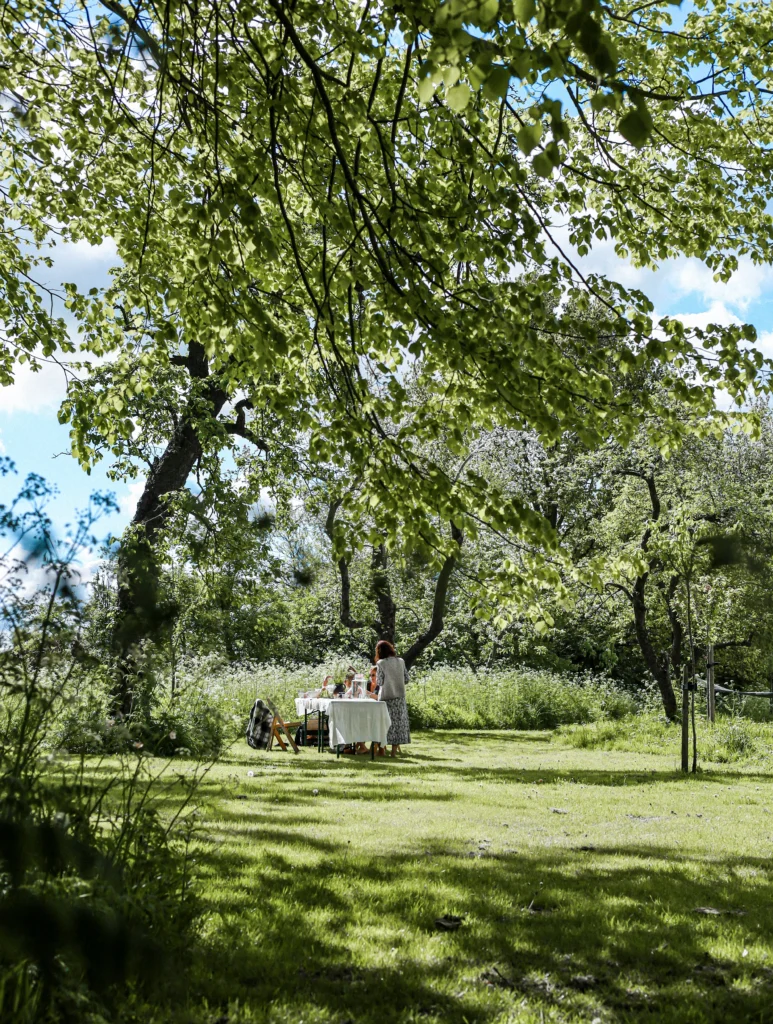 Elektrische camperreis Waddengebied