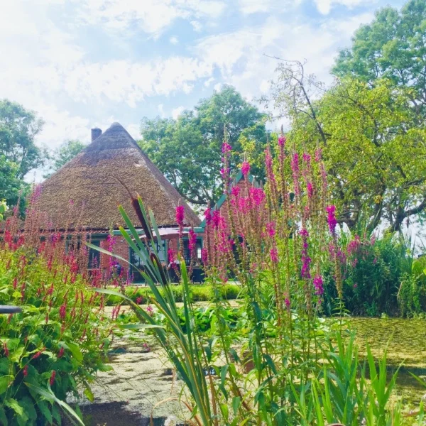 Nieuwe groene oase: Little Dutch Farm opent deuren