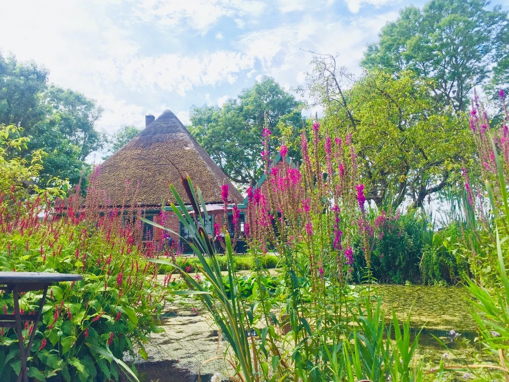 Nieuwe groene oase: Little Dutch Farm opent deuren