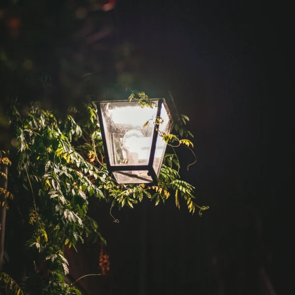 Nachtwachters strijden tegen lichtvervuiling.