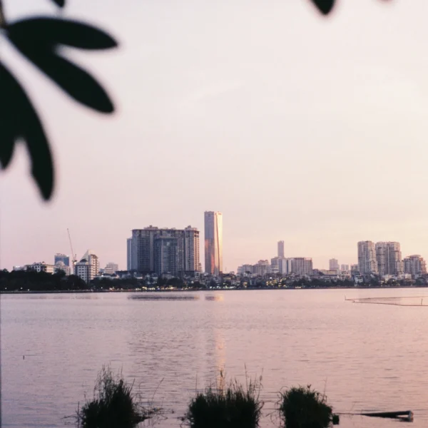 100 CEO’s: kies voor de economie van de toekomst