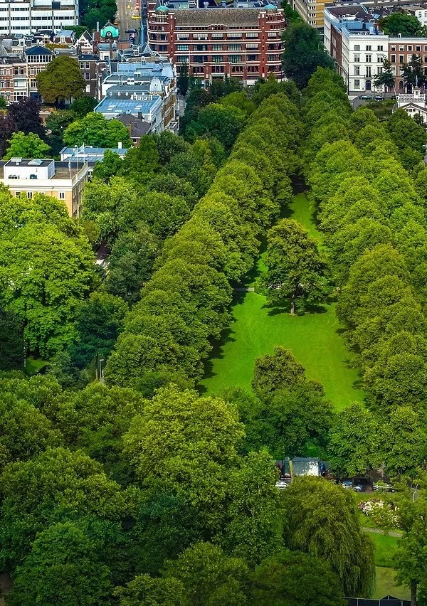 Bomen leveren tienduizenden euro’s op aan gezondheidsvoordelen