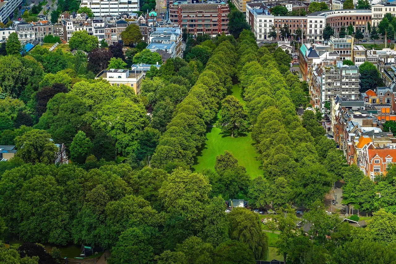 Bomen leveren tienduizenden euro’s op aan gezondheidsvoordelen